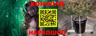 стаф Тверь