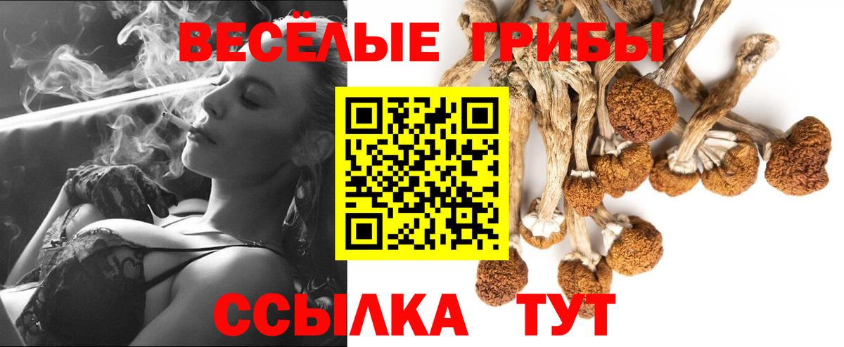 Алатырь  Псилоцибиновые грибы прущие грибы  Вход с VPN 